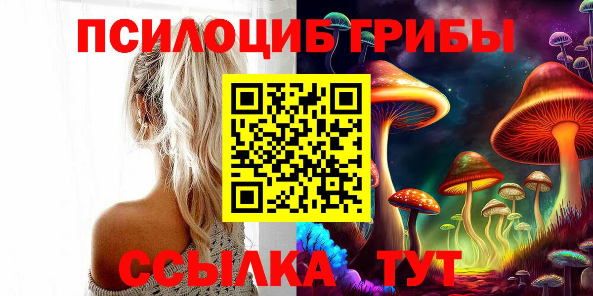 Галлюциногенные грибы мицелий  Вход с VPN  Псилоцибиновые грибы мицелий  Удомля 